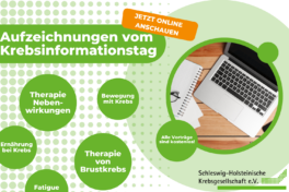 Bild Slideshow Website
