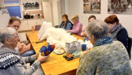Workshop_heisseNadeln_Herzkissendamen